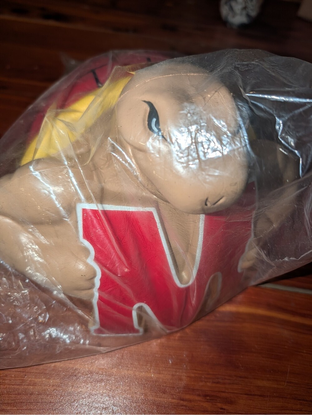 Vintage Maryland Terrapins FoamHead Mascot Collectible